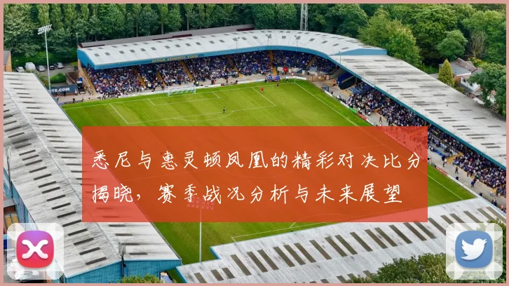 悉尼与惠灵顿凤凰的精彩对决比分揭晓，赛季战况分析与未来展望