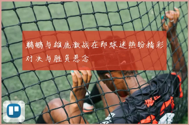 鹈鹕与雄鹿激战在即球迷热盼精彩对决与胜负悬念